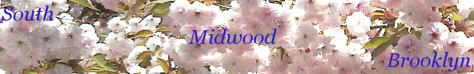 South Midwood, Brooklyn